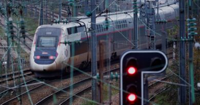 Francia, macchinista del Tgv si lancia dal treno in corsa. Bloccate le linee verso il sud-est