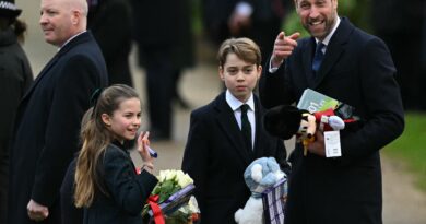 Il principe William si arrabbia di fronte a un cane che viaggia nel passeggino