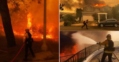 Una star del cinema aiuta i vigili del fuoco a combattere l’incendio di Los Angeles che sta spazzando via una collina esclusiva costellata di case di celebrità