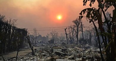 Los Angeles, notizie sull’incendio. Cinque morti. Sindaca: “Gli idranti non riescono a gestire la devastazione”