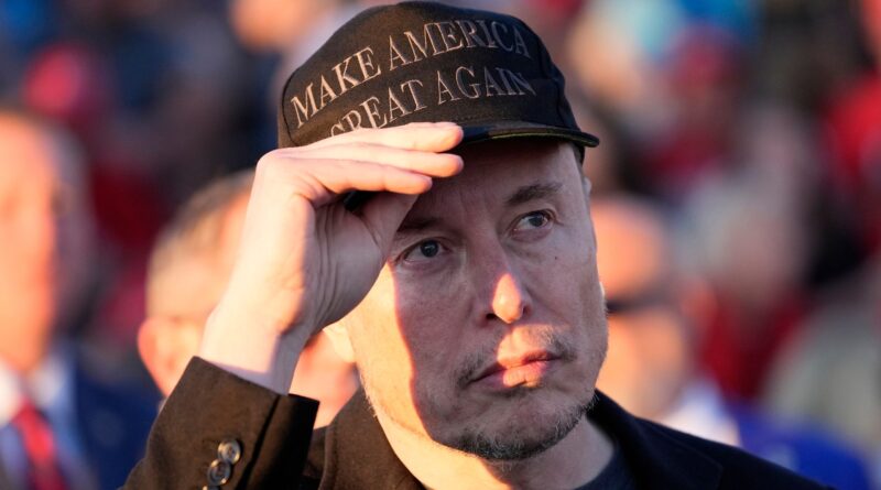 La trasmissione di Elon Musk sull’AfD ha chiarito ogni dubbio sul suo atteggiamento nei confronti dell’estrema destra tedesca