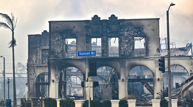 Incendi in California: Come aiutare Los Angeles da qualsiasi parte del mondo