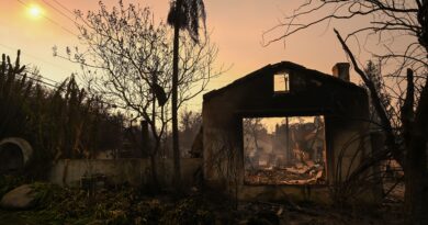 Come gli incendi di Los Angeles hanno influenzato il mondo dell’arte