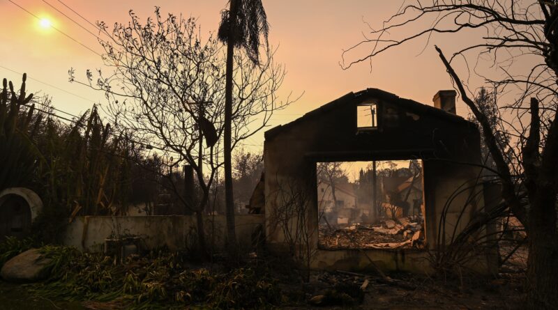 Come gli incendi di Los Angeles hanno influenzato il mondo dell’arte