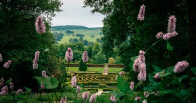 Dimenticate la Cornovaglia o le Cotswolds: grazie a questo nuovo hotel di campagna, il Derbyshire sta vivendo un momento importante