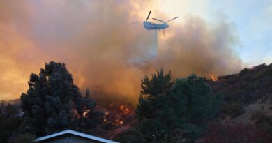 Los Angeles, notizie sull’incendio. I morti sono 16. Verso 20 miliardi di perdite per le assicurazioni