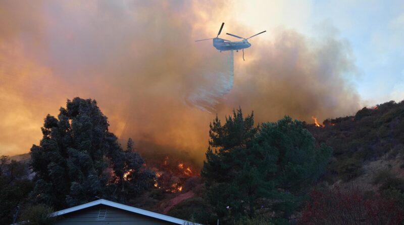 Los Angeles, notizie sull’incendio. Oltre 250 miliardi di danni. I morti salgono a 24