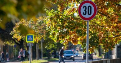 Città 30, a Bologna in un anno dimezzate le vittime e nessun pedone ucciso