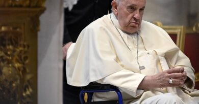 Bergoglio contro gli amanti della messa in latino: