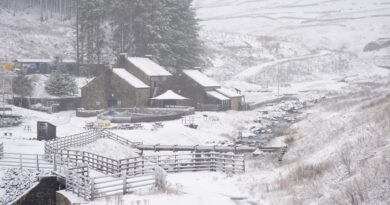 allarme “alta scandinava” mentre la neve colpisce parti del Regno Unito e le temperature scendono a -6°C