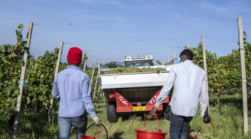 Corruzione all’Ambasciata italiana in Bangladesh: traffico di visti di lavoro venduti a 15mila euro