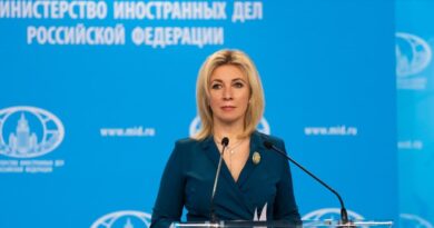 Firme false nella petizione anti Mattarella consegnata alla Zakharova