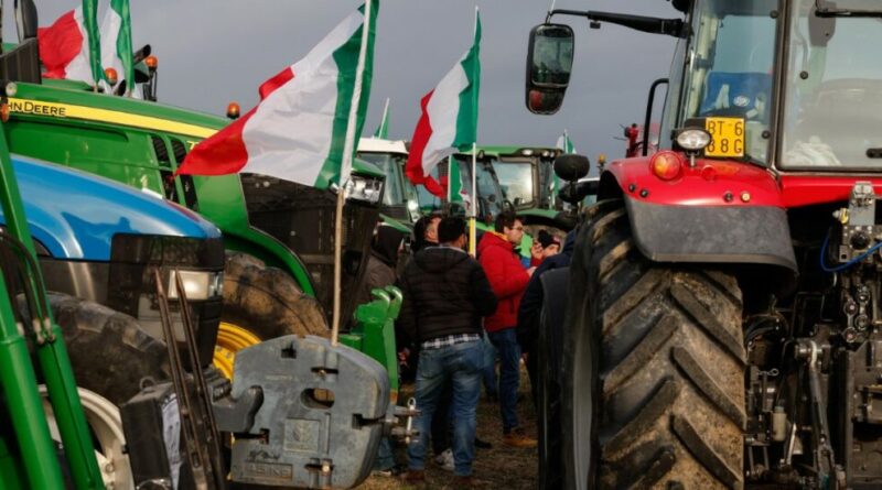 “La transizione ecologica è necessaria”: cosa dicono gli agricoltori un anno dopo la protesta dei trattori | Il report di More in Common