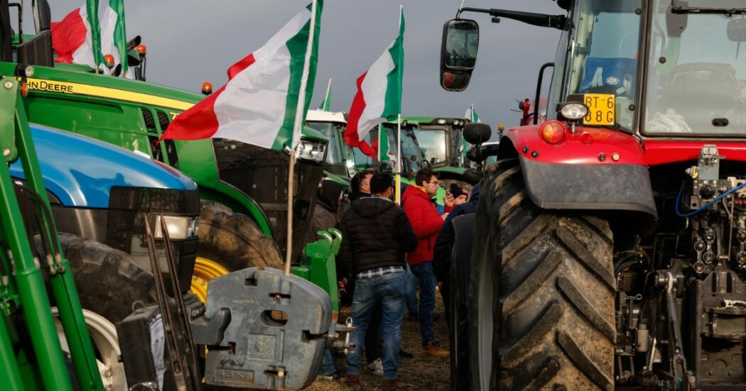 “La transizione ecologica è necessaria”: cosa dicono gli agricoltori un anno dopo la protesta dei trattori | Il report di More in Common