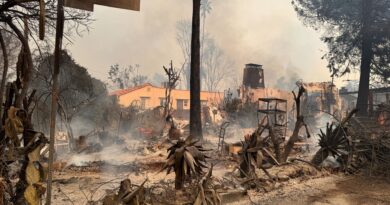 Cresce l’eccitazione per gli Oscar, ma Hollywood è ancora scossa dagli incendi selvaggi