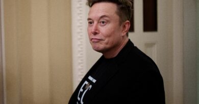 Elon Musk e la giornata terribile, orribile, non buona e molto cattiva per SpaceX, DOGE e lo stesso Musk