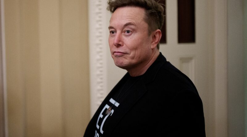 Elon Musk e la giornata terribile, orribile, non buona e molto cattiva per SpaceX, DOGE e lo stesso Musk