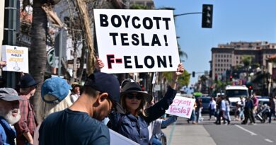 Le proteste contro Elon Musk si stanno intensificando in tutto il Paese